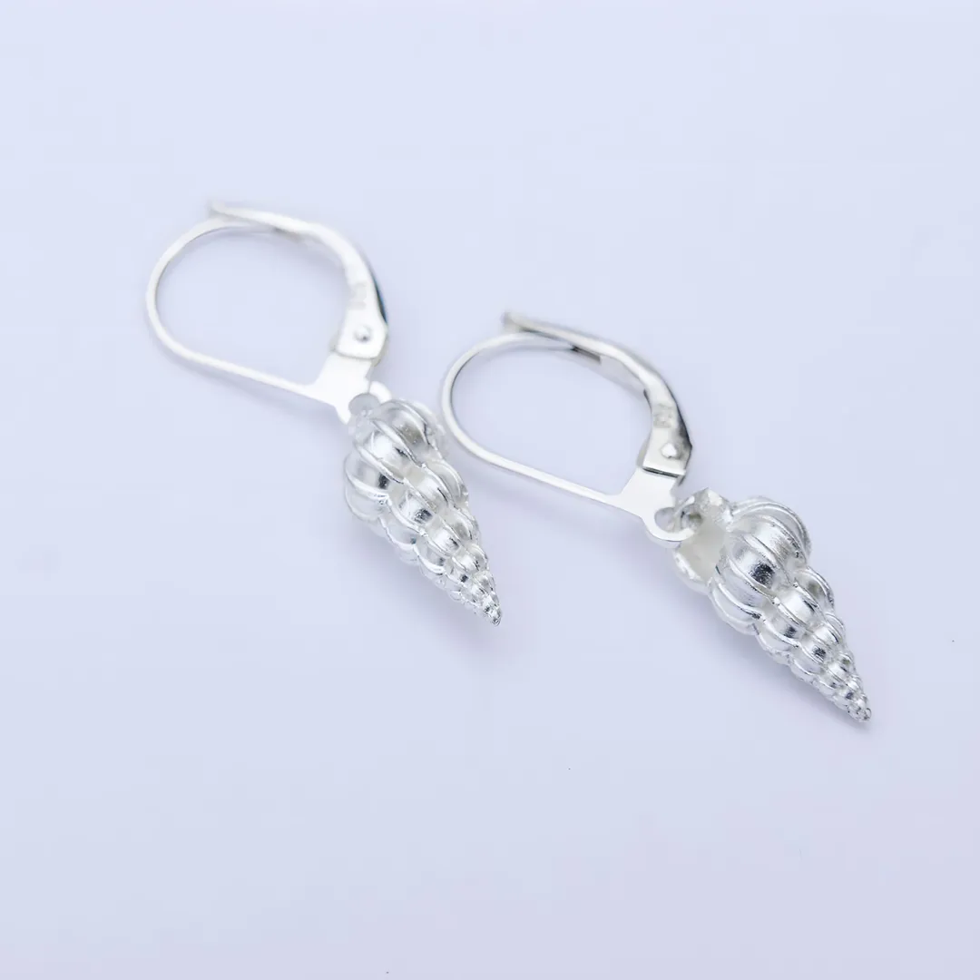 Boucles d'oreilles en argent