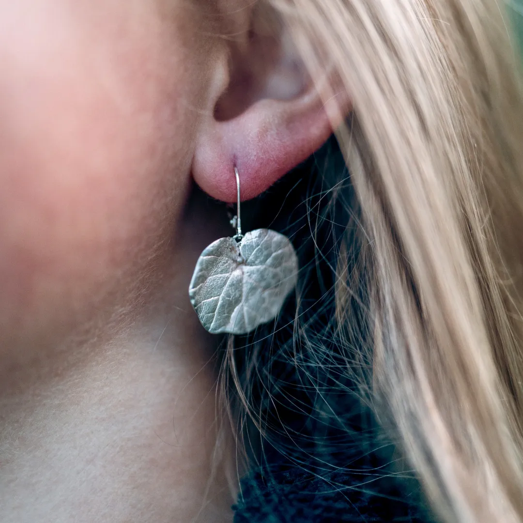 Boucle d'oreille Homogyne des Alpes