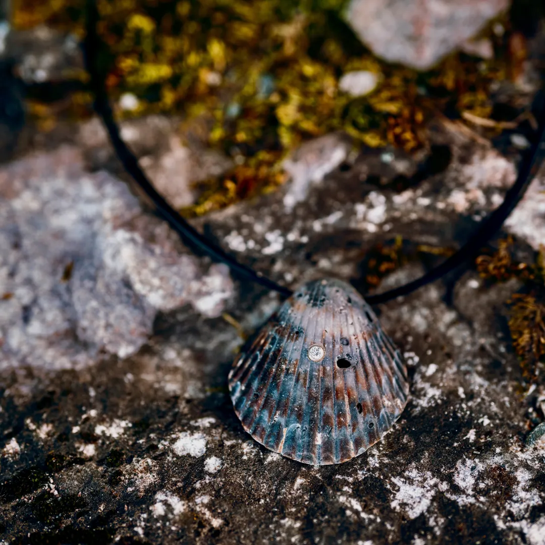 Collier en coquillage et diamant