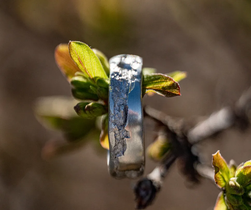 Bague écorce